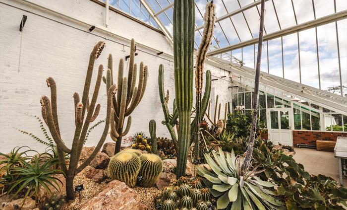 Visit the Cacti collection and tropical Glass House at Dyffryn Gardens, Vale of Glamorgan
